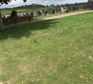 Friedhof Dürrenmettstetten