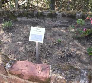 Gartenschau