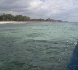 Ausflug Glasbodenboot Diani Beach