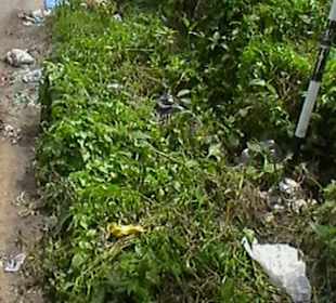 Stadtrundgang Bentota