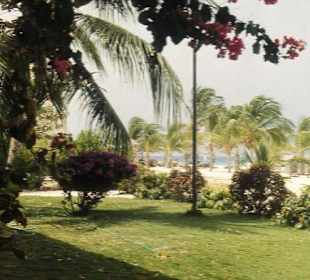 Gartenanlage des Manchebo Beach