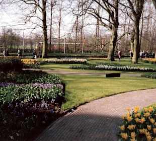Blumenpracht im Keukenhof / Holland