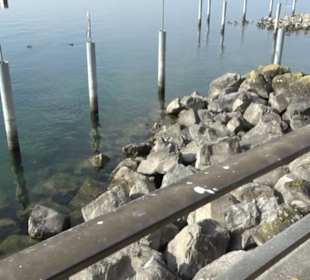 Uferpromenade Friedrichshafen