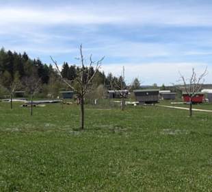 Streuobstwiesen der Hopfenburg