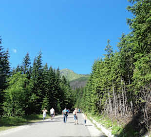Tatrzański Park Narodowy