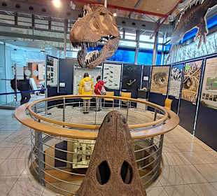 Geoskop in Thallichtenberg