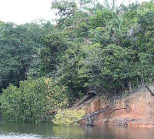 Odnoga Rio Negro