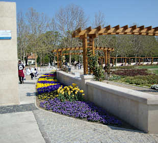 Promenade entlang Ballaton