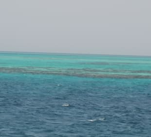 Bucht, Aussicht vom Boot 