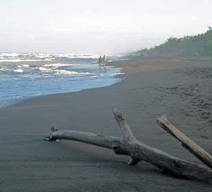 Strand der Schildkröten gegenüber am Kanal