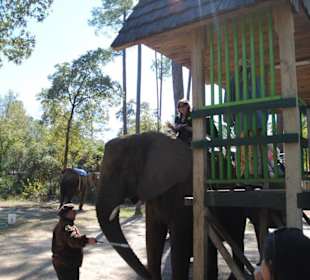 Elefantenreiten