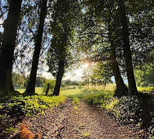 Wandern Bernau am Chiemsee