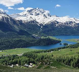 Wandern St. Moritz