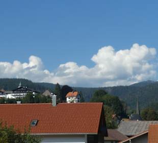 Bei unseren Spaziergängen in / bei Bodenmais