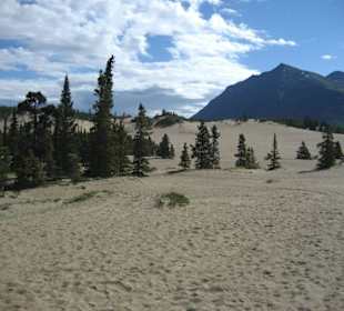 Carcross Desert