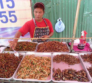Chatuchak Weekend Market