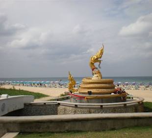 Schlange am Karon Beach