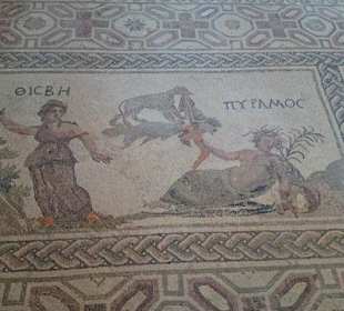 Dionysos Mosaik