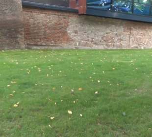 Meeresmuseum Stralsund