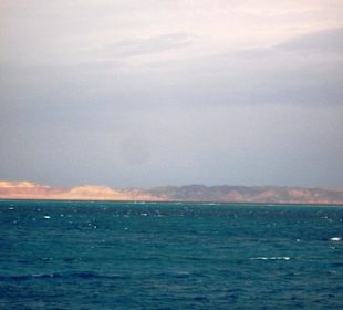 Mit Oototo zum Zweiten