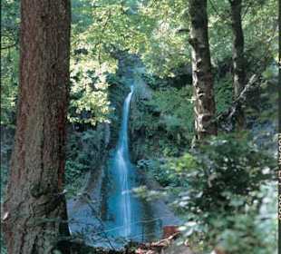 die Sankenbacher Wasserfälle