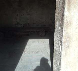 Naturdenkmal Lutherlinde