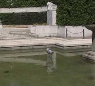 Volksgarten