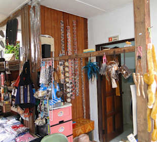 Wildlife Expeditions