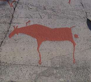 Felsritzungen bei Alta