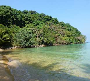 Schnorchelausflug mit Green Island Divers