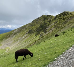 Wandern Saalbach-Hinterglemm