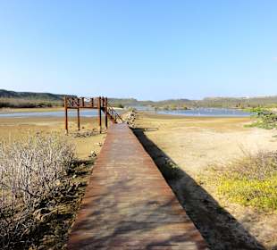 Beobachtungsposten an der Saline Sint Marie