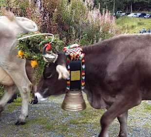 Wandern Gargellen