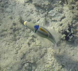 Фото с пирса