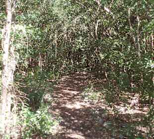 Unterwegs auf den Wanderwegen