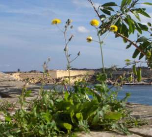 Aussicht in Valetta