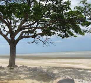 5 km am Strand nach Rechts (Roller mieten!)