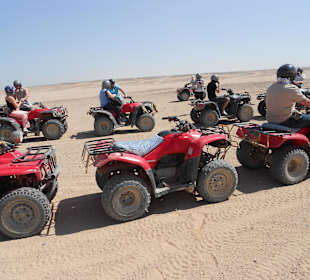 Quad Tour / Ausflug