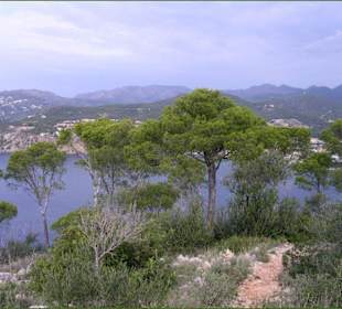 Auf dem Weg zum Cap Andritxol