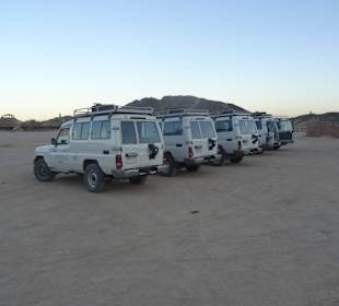 Unserer Toyota Jeeps