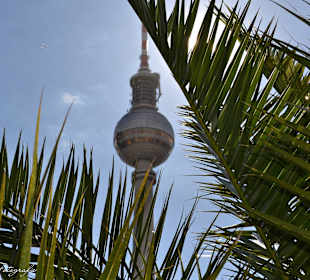 Summer feeling on Alexanderplatz