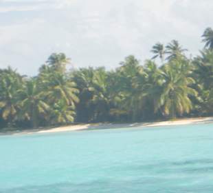 Insel Saona - Ausblick vom Boot