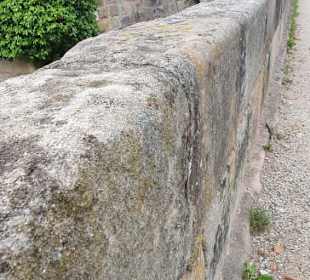 Die Schlossmauer
