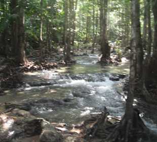 Auf dem Weg zum Emerald Pool