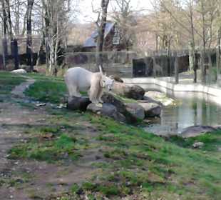 Tierpark Hellabrunn in München