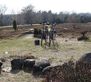 Radtour in die Heide