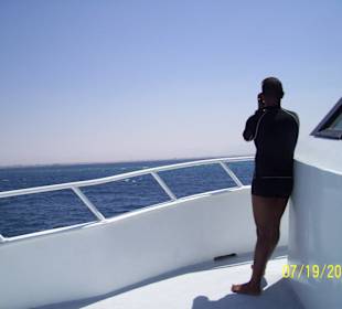 Yasser sucht die Delfine