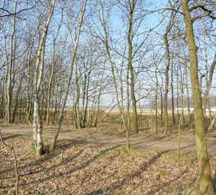 Wunderschöne Boberger Niederung