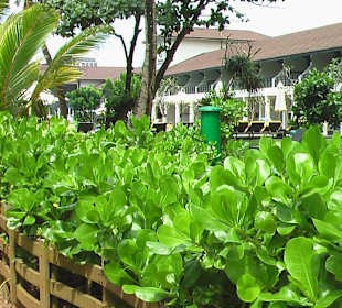 Hotel Centara - Uferwegseite