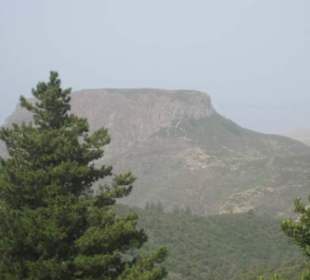 Nationalpark Garajonay